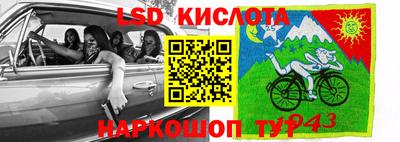 ГАЛЛЮЦИНОГЕННЫЕ ГРИБЫ Донской