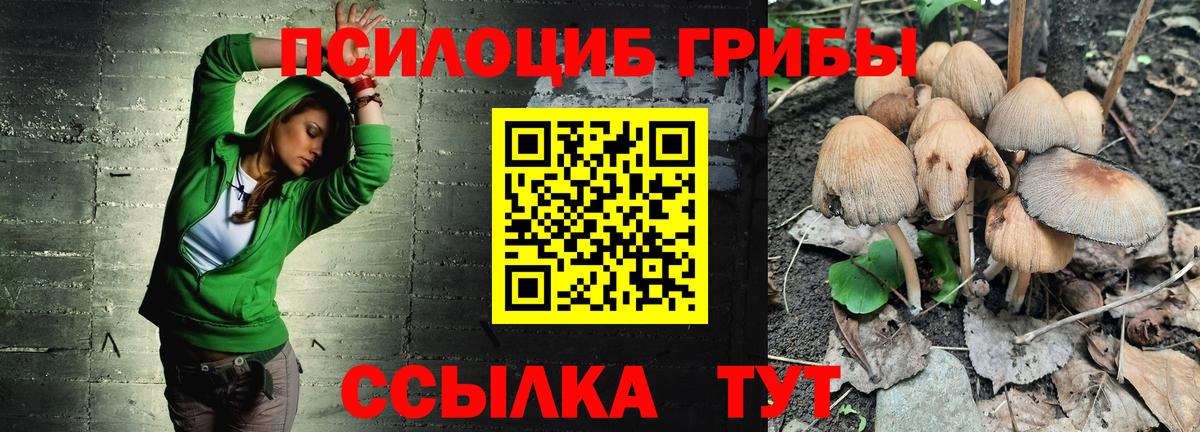 Киреевск  Галлюциногенные грибы Psilocybe  Вход с VPN 