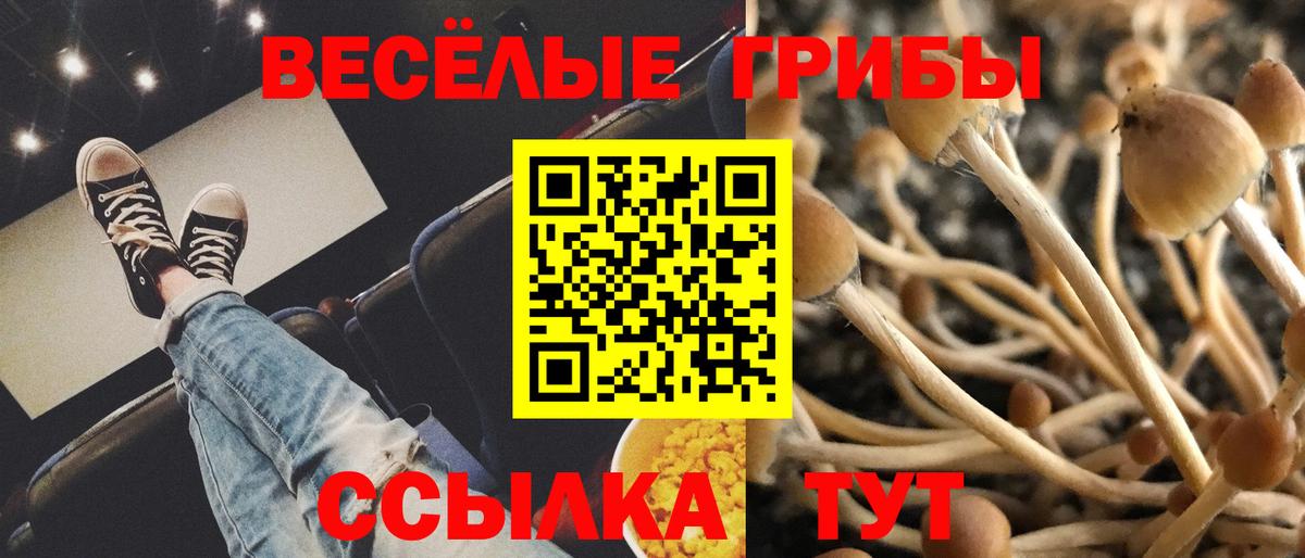 Псилоцибиновые грибы MAGIC MUSHROOMS Киреевск